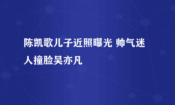 陈凯歌儿子近照曝光 帅气迷人撞脸吴亦凡