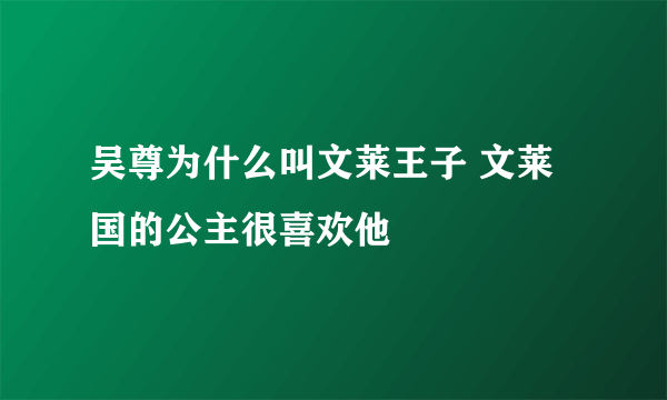 吴尊为什么叫文莱王子 文莱国的公主很喜欢他