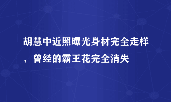 胡慧中近照曝光身材完全走样，曾经的霸王花完全消失 