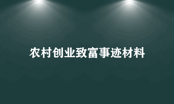 农村创业致富事迹材料