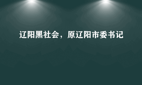 辽阳黑社会，原辽阳市委书记