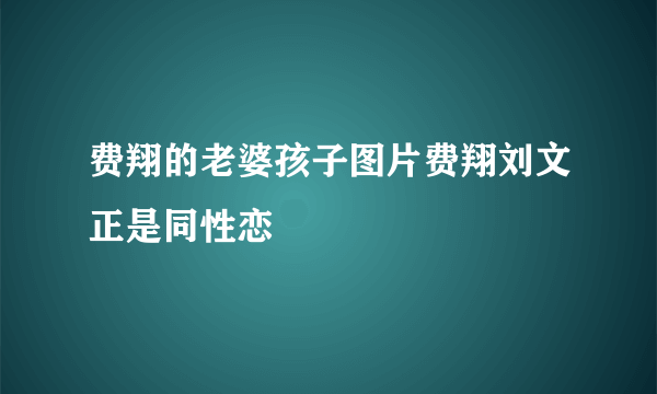 费翔的老婆孩子图片费翔刘文正是同性恋