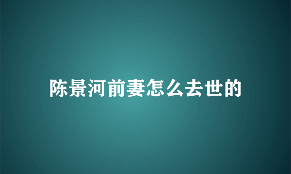 陈景河前妻怎么去世的