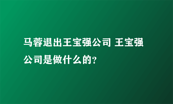 马蓉退出王宝强公司 王宝强公司是做什么的？