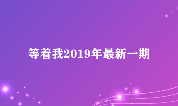 等着我2019年最新一期