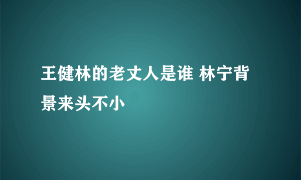 王健林的老丈人是谁 林宁背景来头不小