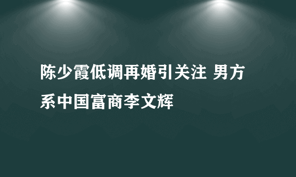 陈少霞低调再婚引关注 男方系中国富商李文辉