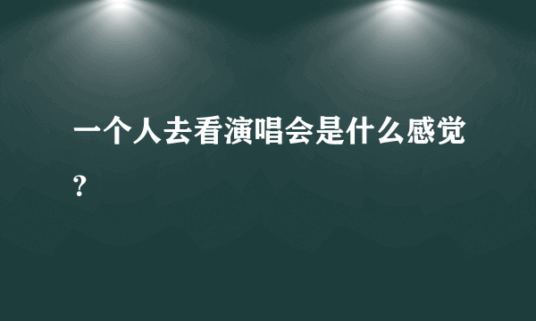 一个人去看演唱会是什么感觉？