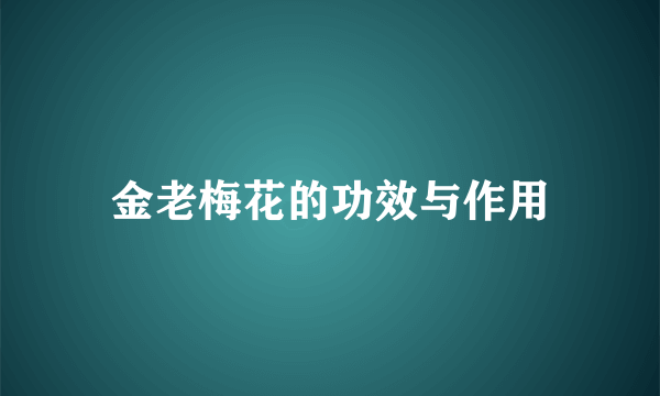 金老梅花的功效与作用