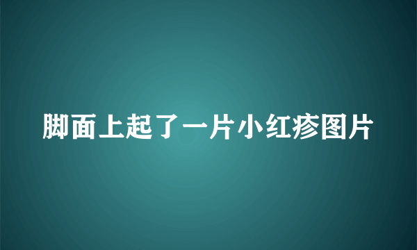 脚面上起了一片小红疹图片