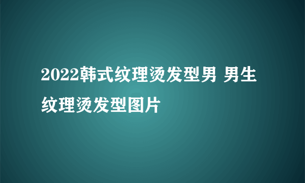 2022韩式纹理烫发型男 男生纹理烫发型图片