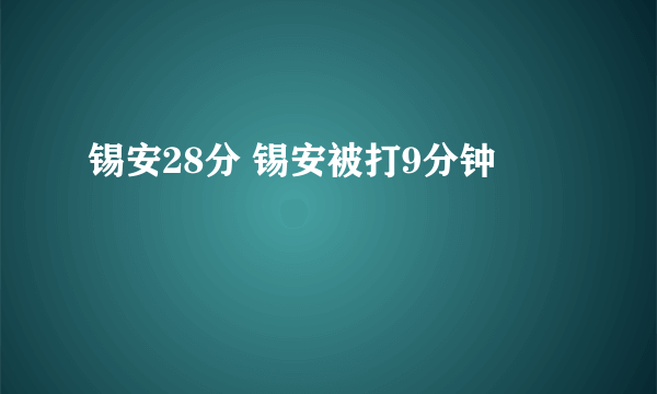 锡安28分 锡安被打9分钟