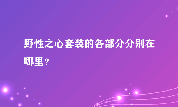 野性之心套装的各部分分别在哪里？