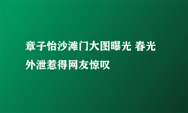 章子怡沙滩门大图曝光 春光外泄惹得网友惊叹