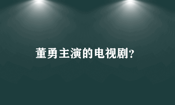 董勇主演的电视剧？