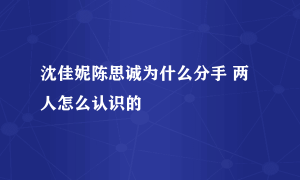 沈佳妮陈思诚为什么分手 两人怎么认识的