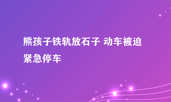 熊孩子铁轨放石子 动车被迫紧急停车