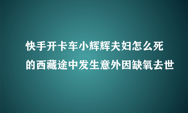 快手开卡车小辉辉夫妇怎么死的西藏途中发生意外因缺氧去世