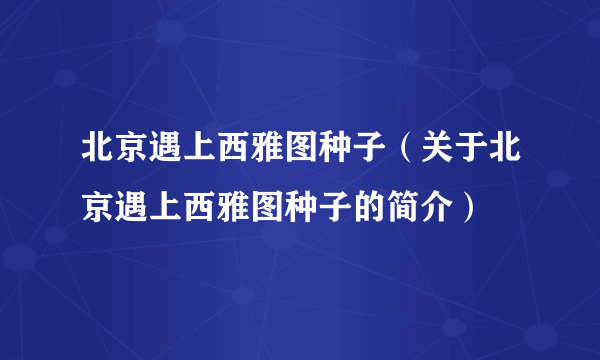 北京遇上西雅图种子（关于北京遇上西雅图种子的简介）