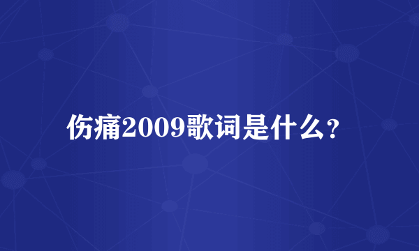 伤痛2009歌词是什么？