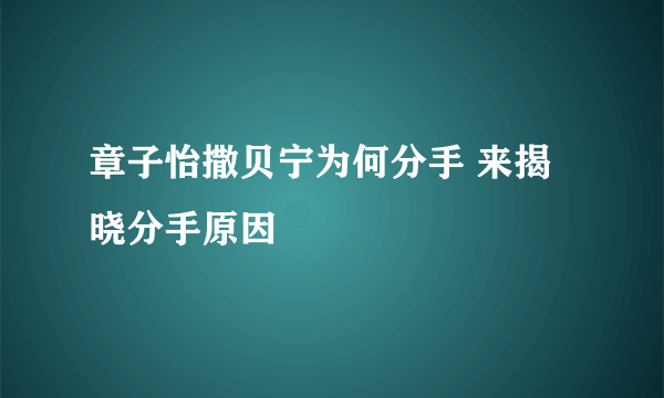 章子怡撒贝宁为何分手 来揭晓分手原因