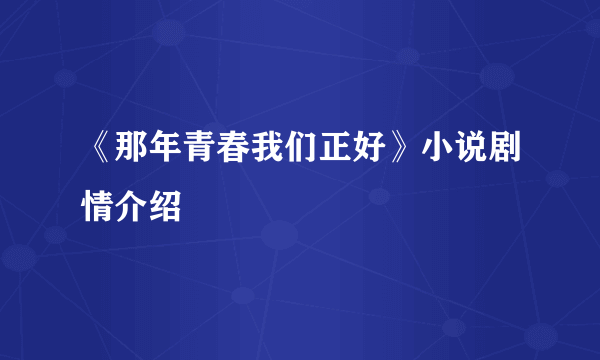 《那年青春我们正好》小说剧情介绍