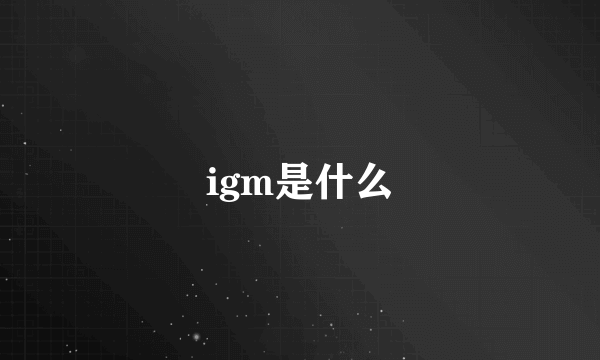 igm是什么