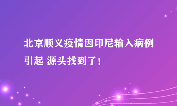 北京顺义疫情因印尼输入病例引起 源头找到了！