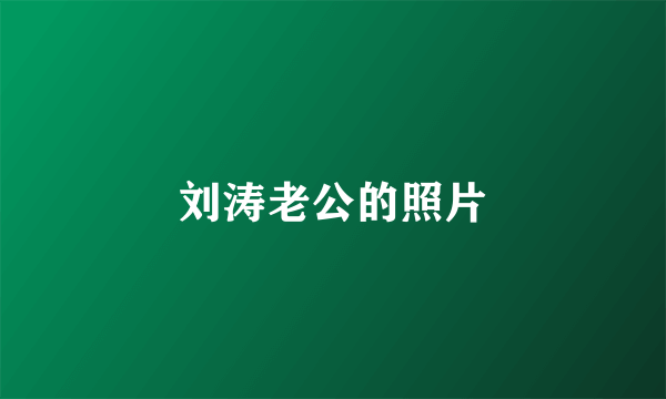 刘涛老公的照片