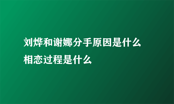 刘烨和谢娜分手原因是什么 相恋过程是什么