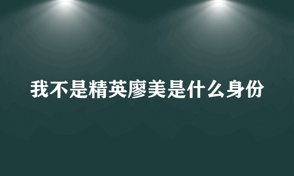 我不是精英廖美是什么身份