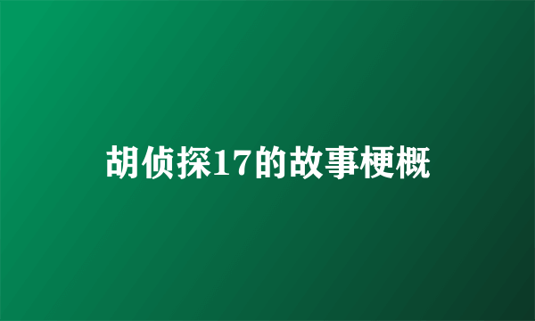 胡侦探17的故事梗概