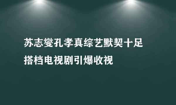 苏志燮孔孝真综艺默契十足 搭档电视剧引爆收视