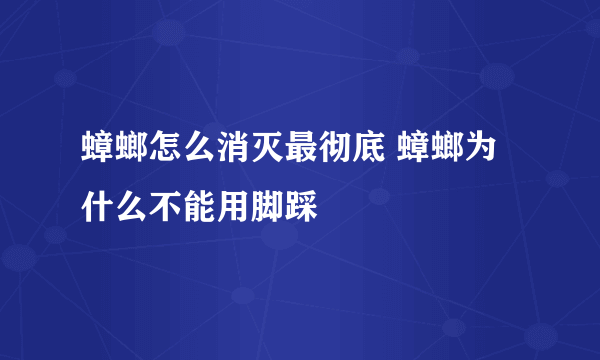 蟑螂怎么消灭最彻底 蟑螂为什么不能用脚踩