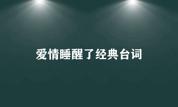 爱情睡醒了经典台词