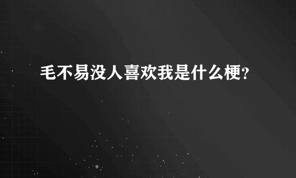 毛不易没人喜欢我是什么梗？