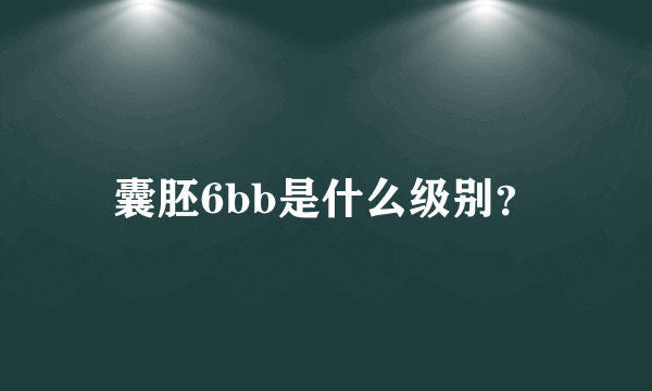 囊胚6bb是什么级别？