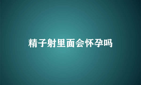 精子射里面会怀孕吗