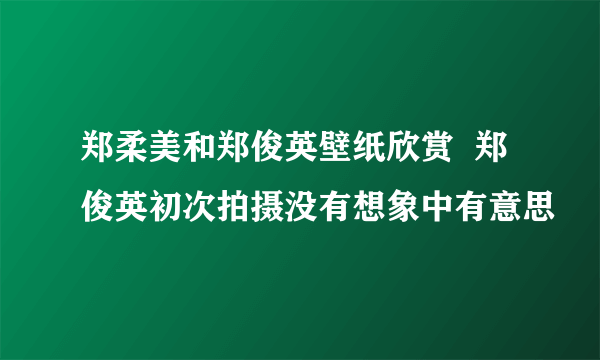 郑柔美和郑俊英壁纸欣赏  郑俊英初次拍摄没有想象中有意思