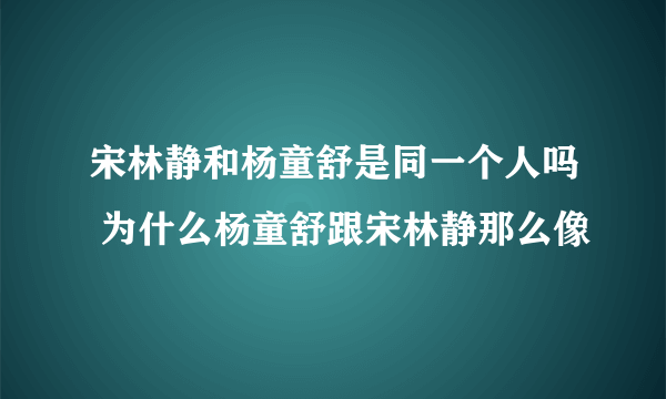 宋林静和杨童舒是同一个人吗 为什么杨童舒跟宋林静那么像