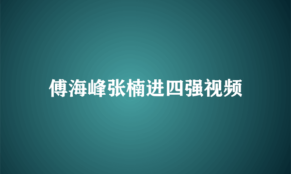 傅海峰张楠进四强视频