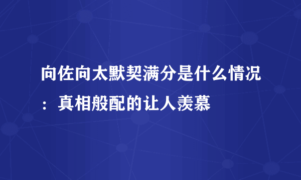 向佐向太默契满分是什么情况：真相般配的让人羡慕