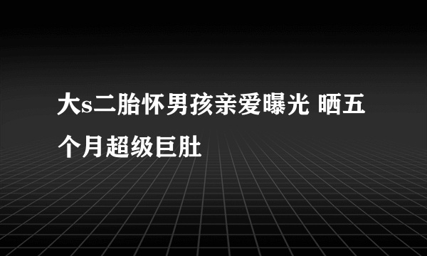 大s二胎怀男孩亲爱曝光 晒五个月超级巨肚