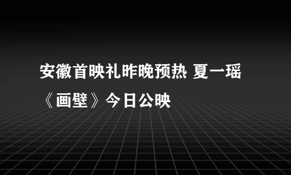 安徽首映礼昨晚预热 夏一瑶《画壁》今日公映