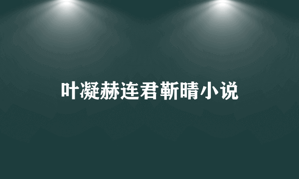 叶凝赫连君靳晴小说