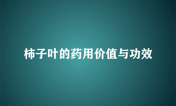 柿子叶的药用价值与功效