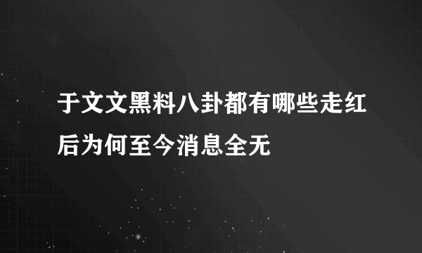 于文文黑料八卦都有哪些走红后为何至今消息全无