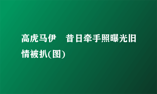 高虎马伊琍昔日牵手照曝光旧情被扒(图)