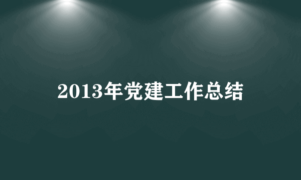 2013年党建工作总结