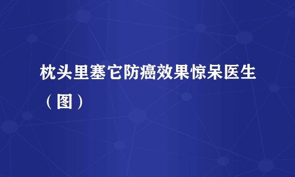 枕头里塞它防癌效果惊呆医生（图）